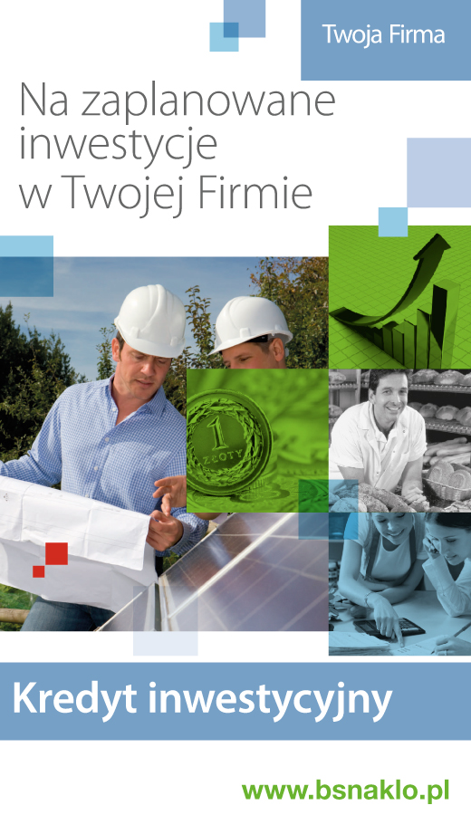 ins_kredyt_inwestycyjny
