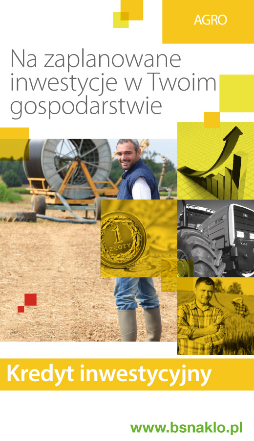 rol_kredyt_inwestycyjny